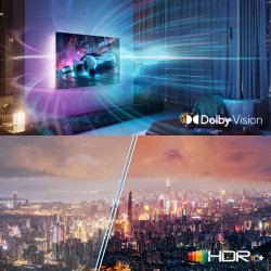 Philips 77OLED951/12 - OLED TV