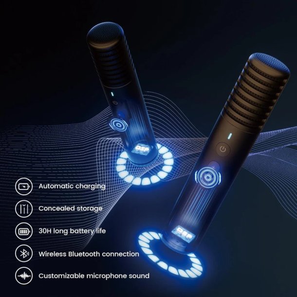 Lenco IKARAO-X2 Karaoke hjttaler