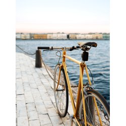  COPENHAGEN TRACKERS Gemstone Bike GPS tracker