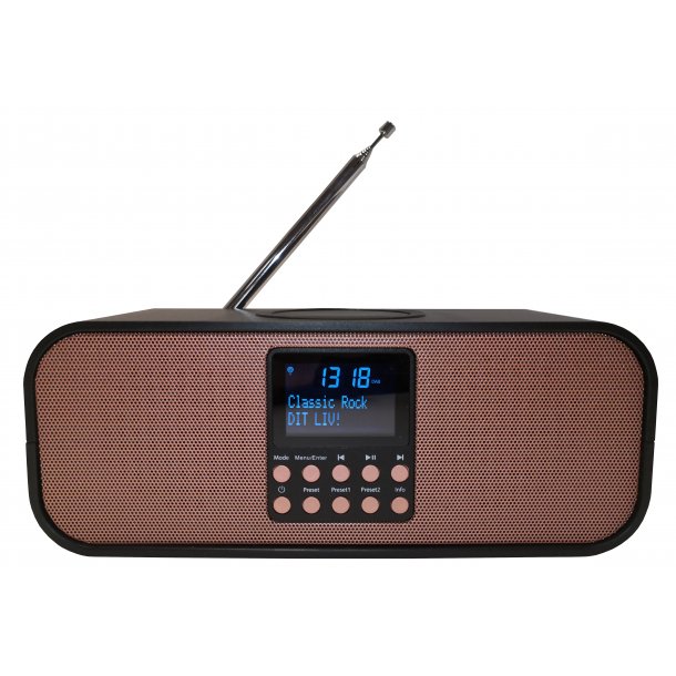 Scansonic PA8001 DAB+ radio med trdls oplader