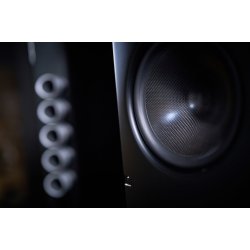 Scansonic HD Q10 hjttaler - HJGLANS SORT