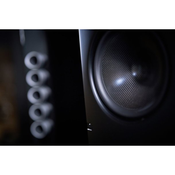 Scansonic HD Q10 hjttaler - HJGLANS SORT